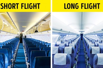 That is why airplane seats are almost always blue