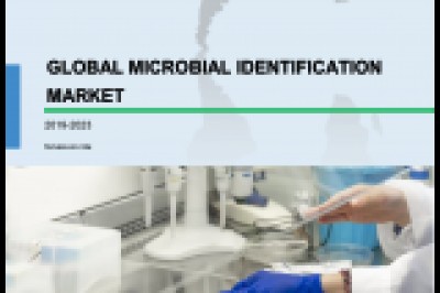 Microbial Identification Market | Industry Analysis and Emerging Trends