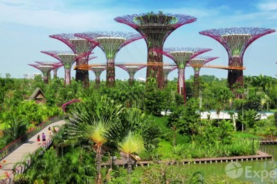 Singapore Vacation Travel Guide