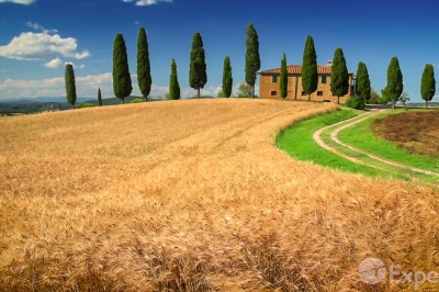 Tuscany Vacation Travel Guide