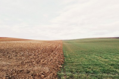 Characteristics of Different Types of Soil