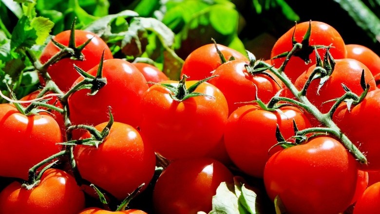 A Natural Acne Remedy - Tomatoes