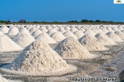 Industrial Salt Market- Future Opportunities with Highest Growth 