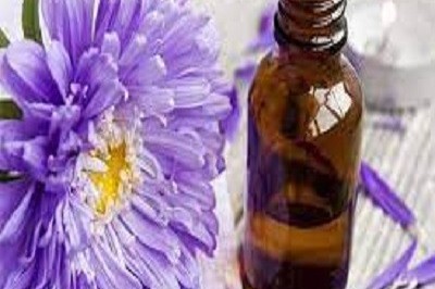 Global Maracuja Oil Market Research Report 2023 Professional Edition